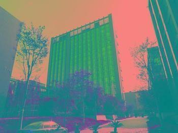 Binjiang Wangsu Business Hotel المظهر الخارجي الصورة